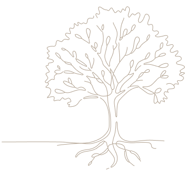 Line illustration of a tree, symbolizing Inner Alignment